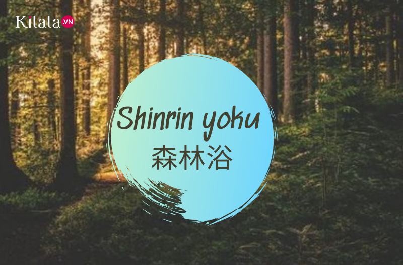 bí kíp để có buổi tắm rừng hiệu quả